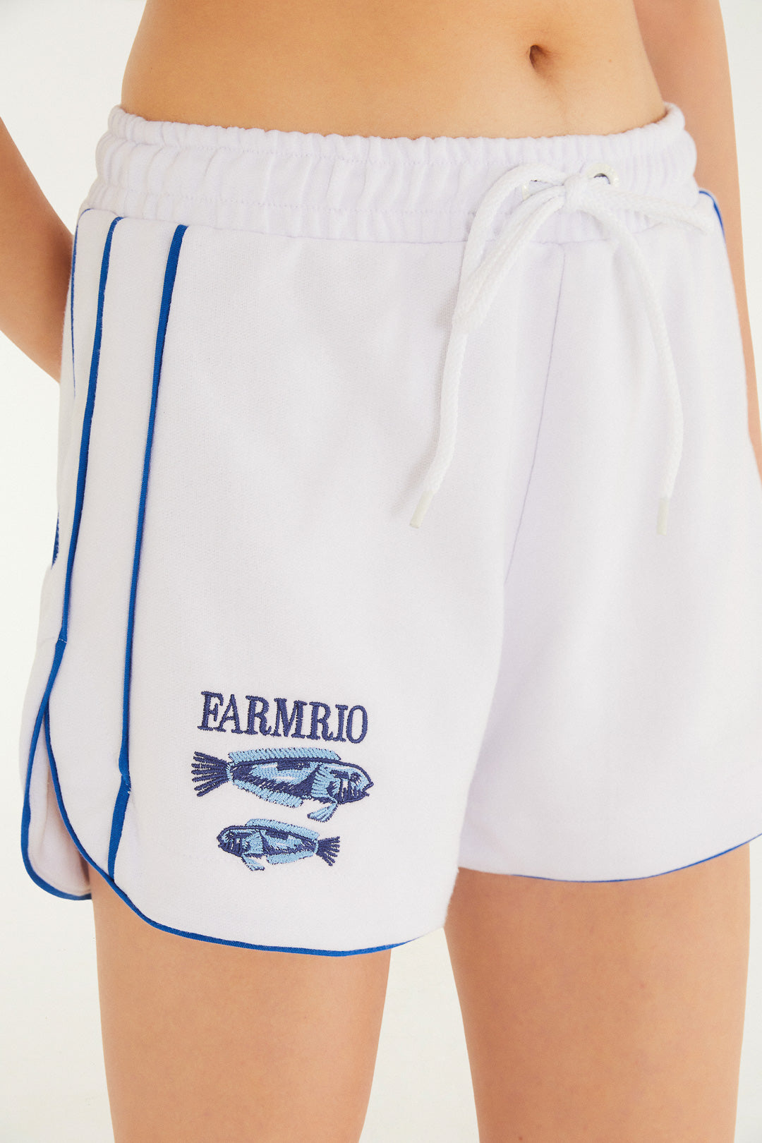 Conjunto Sardinha