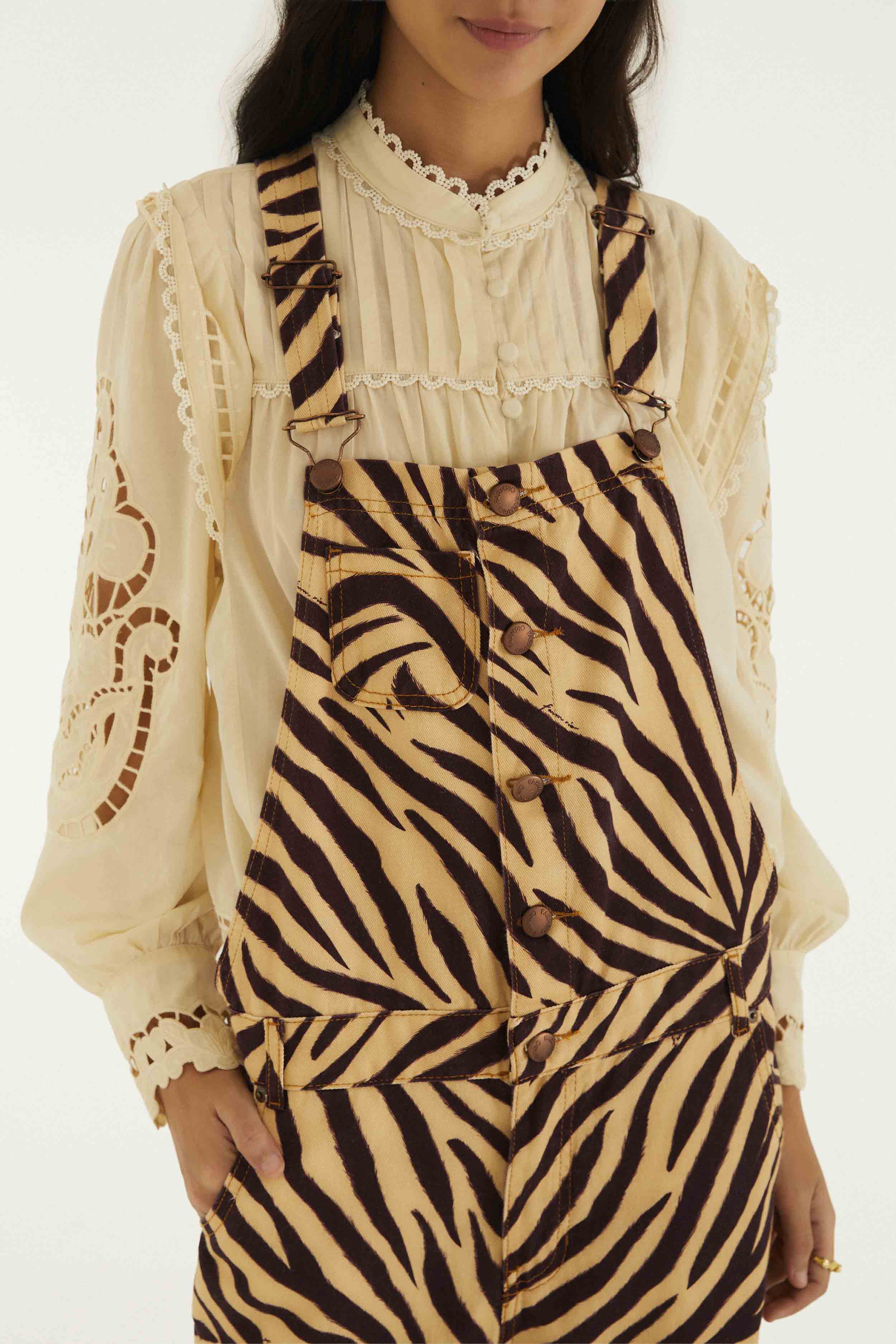 Overall Zebra