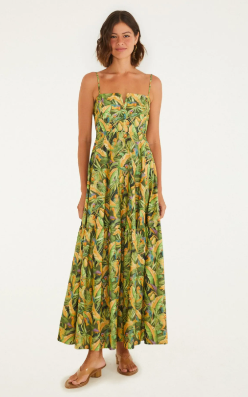 Vestido Jardim de Periquitos